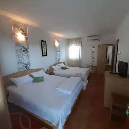 招待所 Liliana 科斯蒂内什蒂