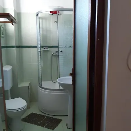 Liliana 科斯蒂内什蒂