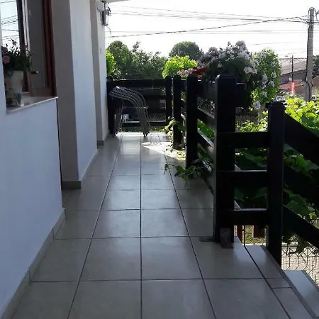 Liliana 科斯蒂内什蒂