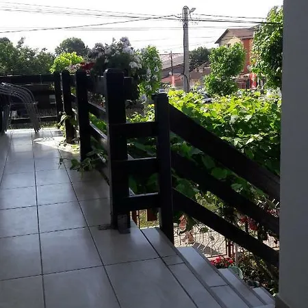 Liliana 招待所 科斯蒂内什蒂