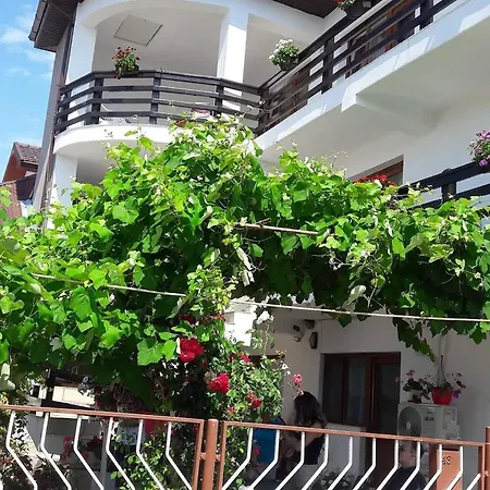 Guest house Liliana