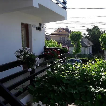 Liliana Guest house 3*